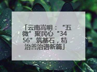 云南嵩明：“五微”聚民心“3456”筑基石，精治善治谱新篇