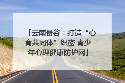 云南景谷：打造“心育共同体”织密 青少年心理健康防护网