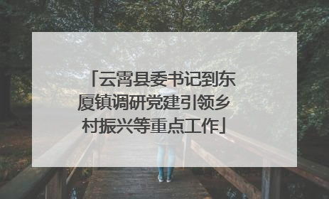 云霄县委书记到东厦镇调研党建引领乡村振兴等重点工作