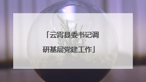 云霄县委书记调研基层党建工作
