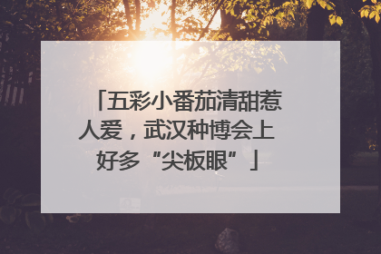 五彩小番茄清甜惹人爱，武汉种博会上好多“尖板眼”