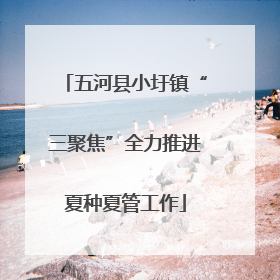五河县小圩镇“三聚焦”全力推进夏种夏管工作