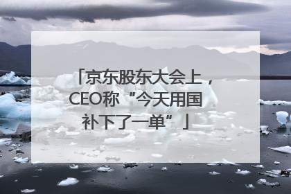 京东股东大会上，CEO称“今天用国补下了一单”