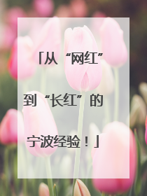 从“网红”到“长红”的宁波经验！