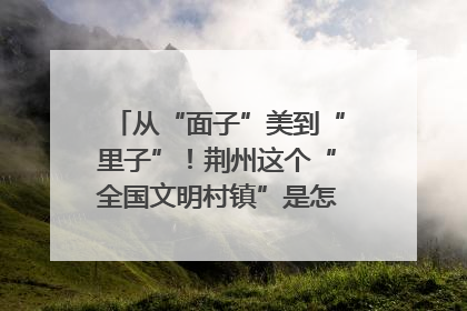 从“面子”美到“里子”！荆州这个“全国文明村镇”是怎样炼成的？