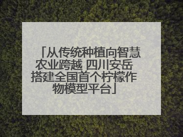 从传统种植向智慧农业跨越 四川安岳搭建全国首个柠檬作物模型平台