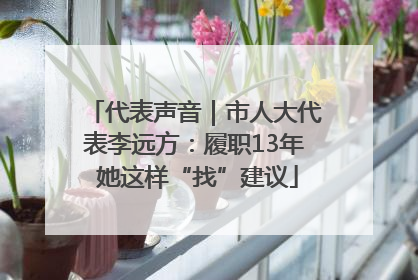 代表声音｜市人大代表李远方：履职13年 她这样“找”建议