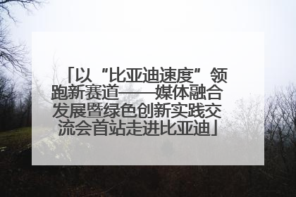 以“比亚迪速度”领跑新赛道——媒体融合发展暨绿色创新实践交流会首站走进比亚迪