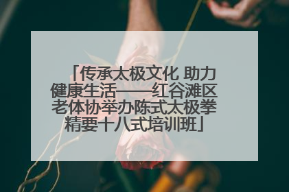 传承太极文化 助力健康生活——红谷滩区老体协举办陈式太极拳精要十八式培训班