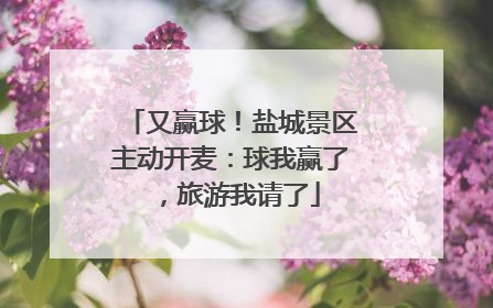 又赢球！盐城景区主动开麦：球我赢了，旅游我请了