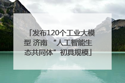 发布120个工业大模型 济南 “人工智能生态共同体”初具规模