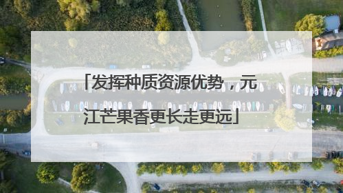 发挥种质资源优势，元江芒果香更长走更远