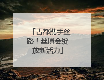 古都携手丝路！丝博会绽放新活力