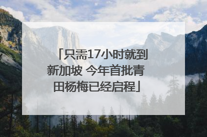 只需17小时就到新加坡 今年首批青田杨梅已经启程