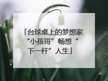 台球桌上的梦想家 “小孩哥”畅想“下一杆”人生