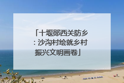 十堰郧西关防乡：沙沟村绘就乡村振兴文明画卷
