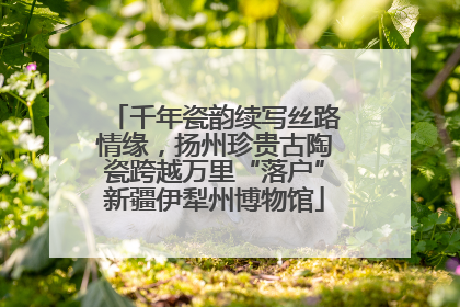 千年瓷韵续写丝路情缘，扬州珍贵古陶瓷跨越万里“落户”新疆伊犁州博物馆