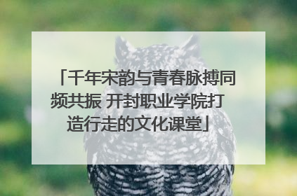 千年宋韵与青春脉搏同频共振 开封职业学院打造行走的文化课堂