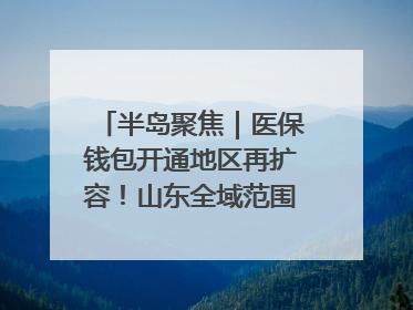半岛聚焦｜医保钱包开通地区再扩容！山东全域范围内已开通，有何用处？如何操作？速戳→