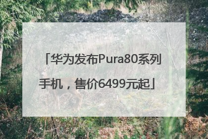 华为发布Pura80系列手机，售价6499元起