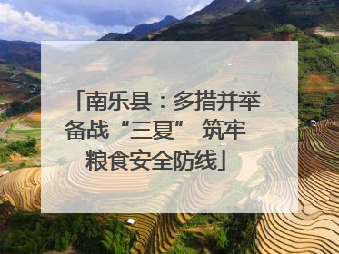 南乐县：多措并举备战“三夏” 筑牢粮食安全防线