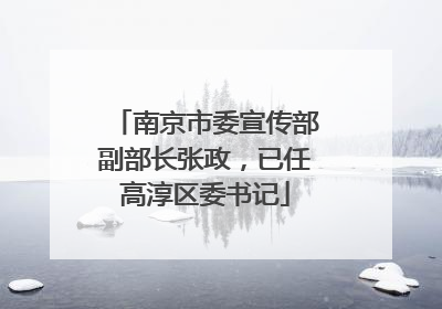 南京市委宣传部副部长张政，已任高淳区委书记