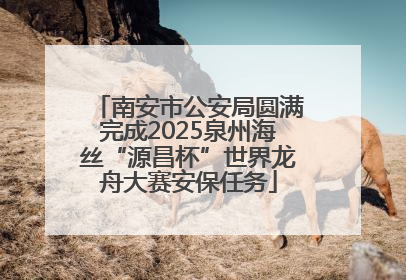 南安市公安局圆满完成2025泉州海丝“源昌杯”世界龙舟大赛安保任务