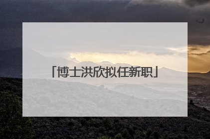 博士洪欣拟任新职