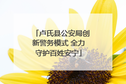 卢氏县公安局创新警务模式 全力守护百姓安宁