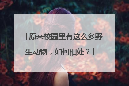原来校园里有这么多野生动物，如何相处？