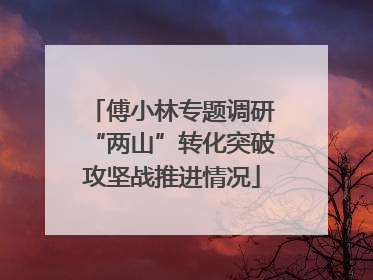 傅小林专题调研“两山”转化突破攻坚战推进情况