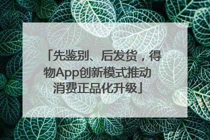 先鉴别、后发货，得物App创新模式推动消费正品化升级