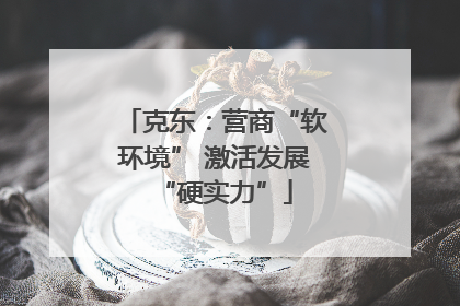 克东：营商“软环境” 激活发展“硬实力”