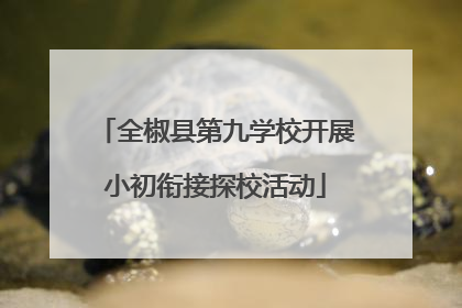 全椒县第九学校开展小初衔接探校活动