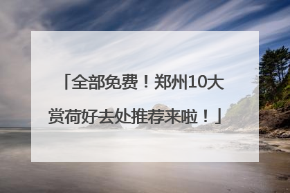 全部免费！郑州10大赏荷好去处推荐来啦！