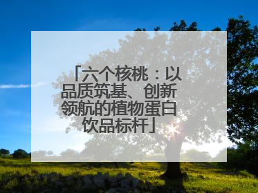 六个核桃：以品质筑基、创新领航的植物蛋白饮品标杆