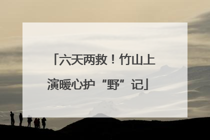 六天两救！竹山上演暖心护“野”记