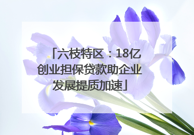六枝特区：18亿创业担保贷款助企业发展提质加速