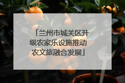 兰州市城关区升级农家乐设施推动农文旅融合发展