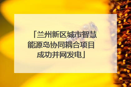 兰州新区城市智慧能源岛协同耦合项目成功并网发电