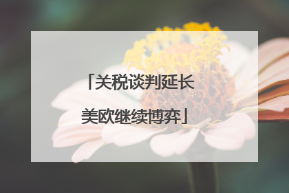 关税谈判延长 美欧继续博弈