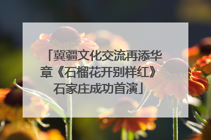 冀疆文化交流再添华章《石榴花开别样红》石家庄成功首演