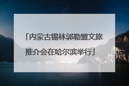 内蒙古锡林郭勒盟文旅推介会在哈尔滨举行
