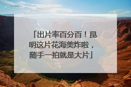 出片率百分百！昆明这片花海美炸啦，随手一拍就是大片