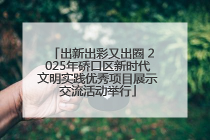 出新出彩又出圈 2025年硚口区新时代文明实践优秀项目展示交流活动举行