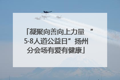 凝聚向善向上力量 “5·8人道公益日”扬州分会场有爱有健康