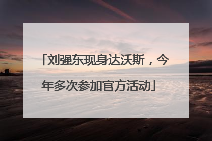 刘强东现身达沃斯，今年多次参加官方活动