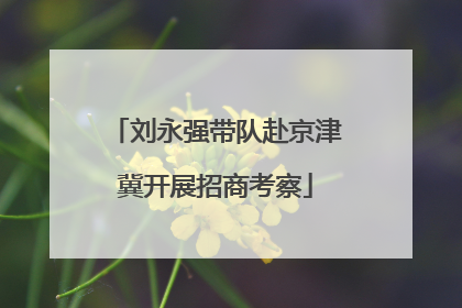 刘永强带队赴京津冀开展招商考察