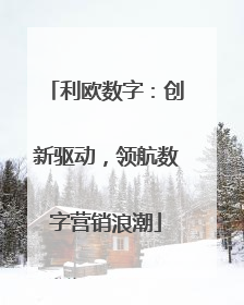 利欧数字：创新驱动，领航数字营销浪潮