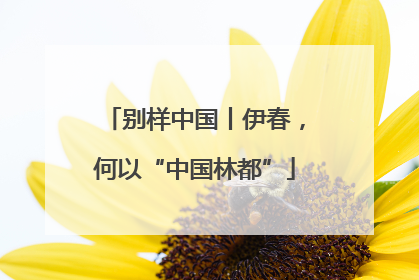别样中国丨伊春，何以“中国林都”